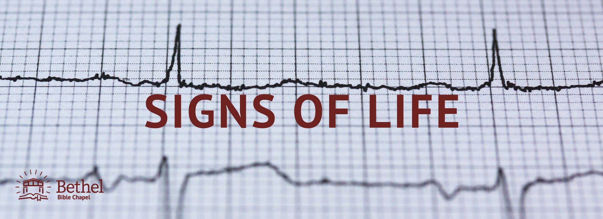 "Outstretched Arms" - Living a Compassionate Life